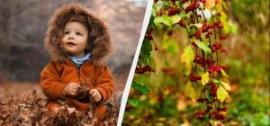 В Украине - два больших официальных праздника: что отмечаем 16 ноября и кого поздравить