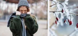 Стилисты назвали 8 оттенков, которые этой зимой будут носить все (фото)