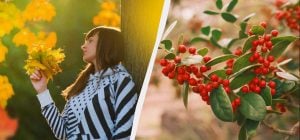 Кого вітають 22 листопада: цікаві факти та прикмети у свято сьогодні