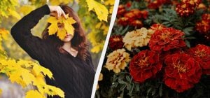 Чего категорически нельзя говорить сегодня: важные обычаи в праздник 23 ноября 2025