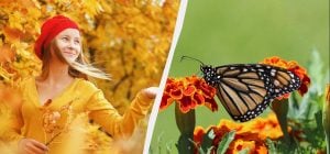 Жінкам заборонено робити три справи: що за свято 24 листопада і які його звичаї