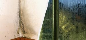 У квартирі більше не буде вогкості, а на вікнах - конденсату: ось що потрібно зробити