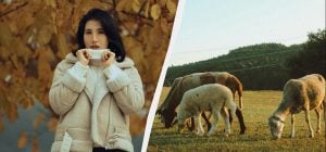 В Україні настає молоде свято: що відзначити 28 листопада і які прикмети дня