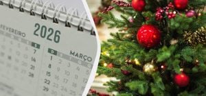 Приближается Новый год 2026: сколько дней до праздника и когда новогодние выходные