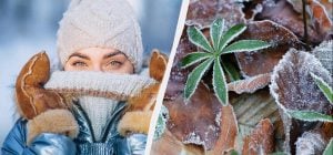 Что сделать на удачу в первый день зимы: все праздники и обычаи 1 декабря 2025