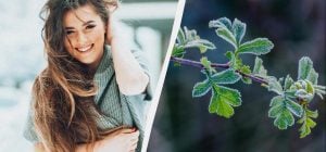 Что сегодня нужно принести в дом для счастья: обычаи в праздник 2 декабря 2025