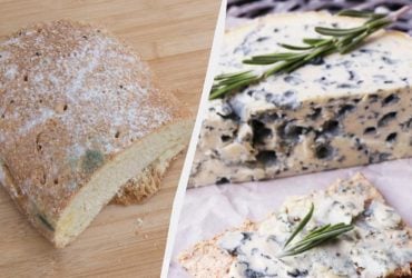 Когда плесень с еды можно убрать, а когда - это крайне опасно: объяснение токсиколога