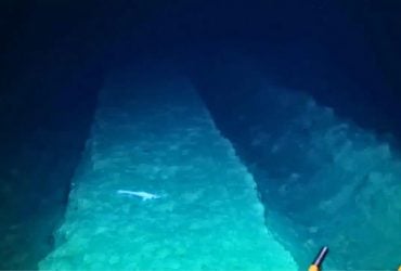 У 1979 році гірничодобувне випробування спустошило дно Тихого океану: через 44 роки науковці були приголомшені