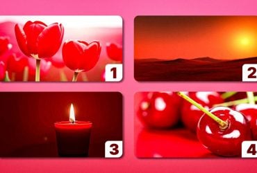 Где на картинке самый красный цвет: простой психологический тест