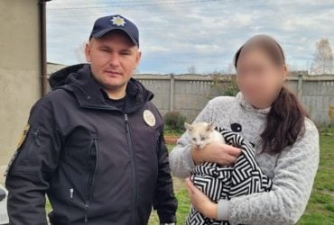 На Львівщині притягнули до відповідальності батька дівчинки, яка розфарбувала кота