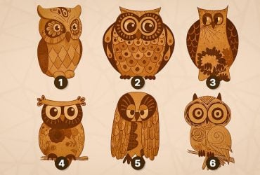 Яку сову ви оберете: тест на вміння вирішувати проблеми