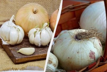 Не в холодильнике: где хранить лук и чеснок месяцами, чтобы не гнили и не прорастали