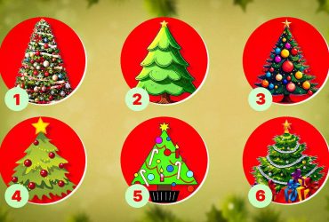 Тест із новорічною ялинкою: виберіть дерево, щоб дізнатися свій тип особистості