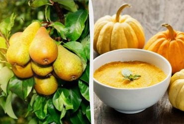 Дієтологи назвали 8 протизапальних продуктів, якими варто запастися в листопаді