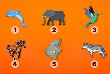 Кто из духов-животных защищает вас от бед: необычный тест на личность