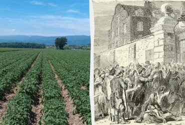 Жестокий урок природы: один овощ едва не убил целую европейскую нацию, - Forbes