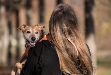 Скільки слід гуляти з собакою на вулиці: ветеринари дали чітку відповідь