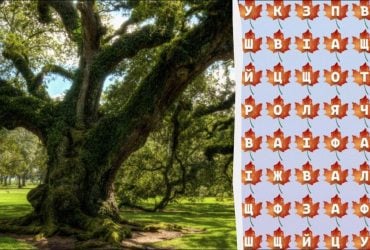 Тільки 2% геніїв знайдуть слово дерево за 10 секунд: дивовижна головоломка