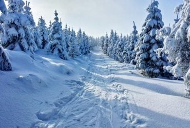 Де взимку знайти найм’якший сніг у світі: науковці дали відповідь