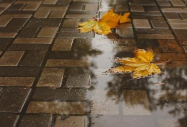 10 листопада дощів в Україні стане ще більше: накриє всю країну