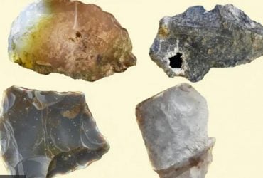 Археологи сделали потрясающее открытие, которое переписывает эволюцию человека