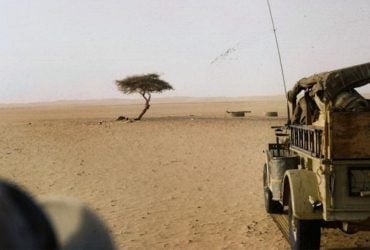 Одне дерево кинуло виклик законам природи і стало легендою Африки, - Forbes