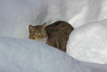 13 січня на українців чекають сильні морози