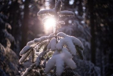 В неділю Україну накриє мокрим снігом і дощами: де чекати опадів