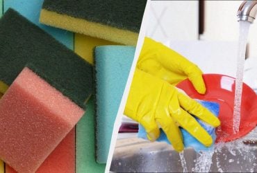 Що означають кольори губок для посуду: це важливо, але знають одиниці