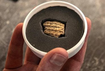 Археологи виявили рідкісне свідчення біблійної боротьби за владу