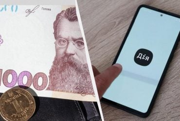 Зимняя поддержка уже доступна, но Дія не выдерживает натиска от подачи заявок