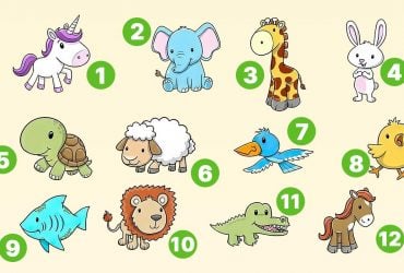 Яка ви тварина: тест, який напрочуд точно описує вас