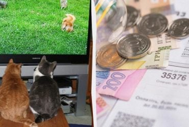 5 настроек телевизора, способных сократить потребление электроэнергии без потери качества