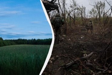 Из-за войны наши поля захватывают чужеродные растения, которые нельзя остановить, - эколог