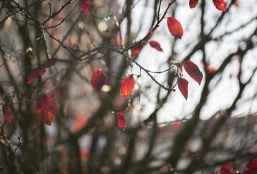 На выходных в Украину придет похолодание, но есть нюанс, - синоптик