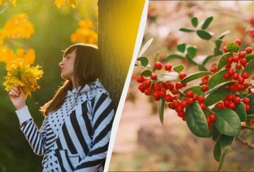 Кого поздравляют 22 ноября: интересные факты и приметы в праздник сегодня