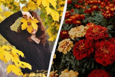 Чего категорически нельзя говорить сегодня: важные обычаи в праздник 23 ноября 2025