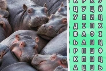 98% людей не можуть знайти слово бегемот за 12 секунд: складна головоломка