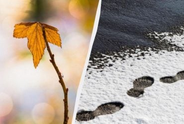 І потепління до +20, і мокрий сніг: синоптикиня розповіла про погоду в Україні у п'ятницю