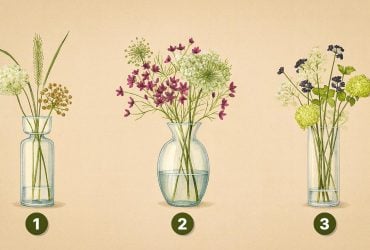 Какую вазу вы выберете: узнайте, какая ваша мечта сбудется первой