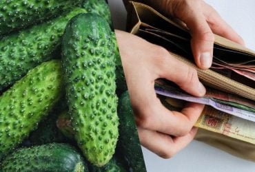 Цены на огурцы снова переписали: сколько теперь стоит килограмм овоща