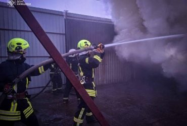 У КиївЗоо поранений під час атаки РФ олень одужує після складної операції, - КМДА