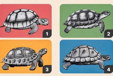 Яку картинку вибирають терплячі люди: тест на характер із точністю 99%