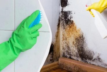 Чорна цвіль зникне назавжди: ось чим потрібно її попшикати