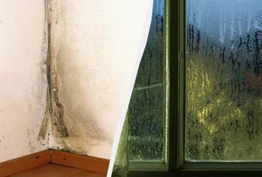 У квартирі більше не буде вогкості, а на вікнах - конденсату: ось що потрібно зробити