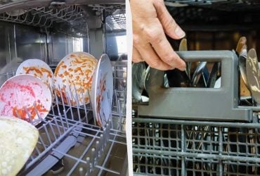 Що відбувається всередині посудомийки: чоловік показав відео зсередини, воно викликає огиду