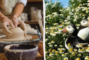 Цель важнее места: названы главные туристические тренды в 2026 году