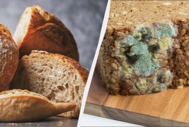 Почему хлеб плесневеет и можно ли срезать плесень и съесть остальное: советы врача