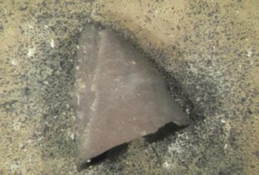 В Японії виявлено одну з найдавніших реліквій: чому вона вразила вчених