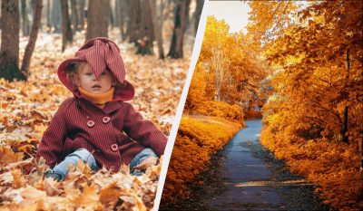 Сегодня наступает несколько больших праздников: почему нельзя работать 14 ноября 2025